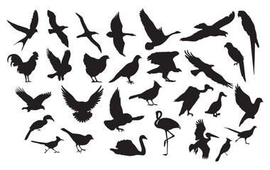 Birds Silhouette Vector Pack graphic drawing illustration for stickers, streetwear, t-shirts, logos, print-on-demand, print, or branding