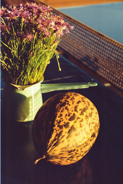 Melon and wildflowers on a table near water at sunset.