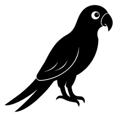 macaw bird black silhouette vector with white background. Wild animal vector