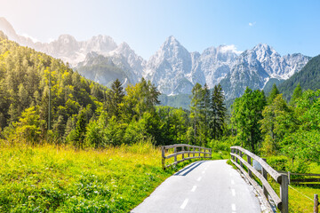 A well-defined pathway leads through lush greenery in the Julian Alps, offering stunning views of...