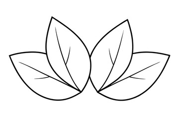 illustration of a leaf