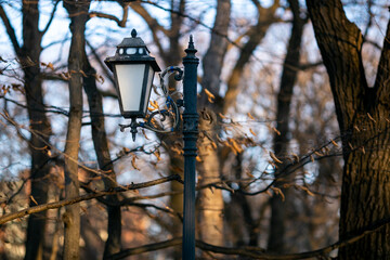 Close-up. Street lighting fixtures in a winter park.