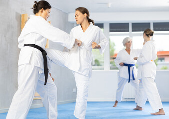 Fototapeta premium Karate lessons in the gym - women in pairs train punches and kicks