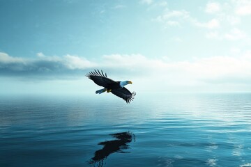 A bird soaring above the surface of a lake or sea, with calm waters and possibly some ripples