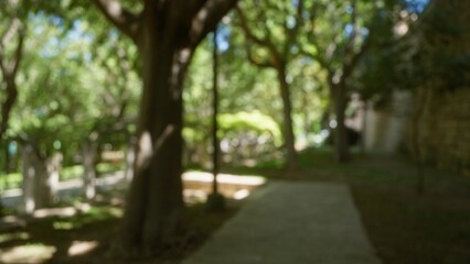 Blurred photo of an outdoor park in mallorca with defocused trees and walkway in the background