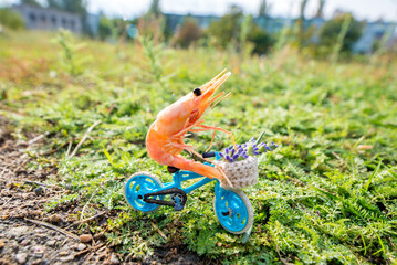 Healthy lifestyle and sport. Surreal concept