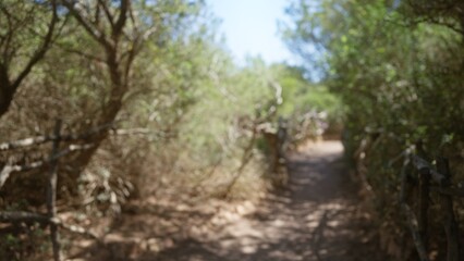 Blurred pathway through lush vegetation in outdoor mallorca setting with off-focus trees and natural sunlight casting shadows on a dirt trail