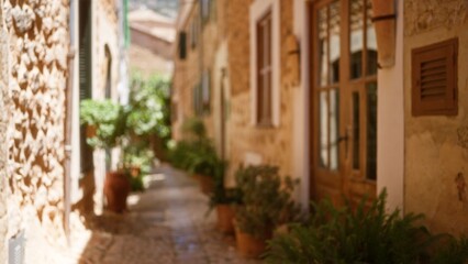 Fototapeta premium Defocused view of a charming narrow street in an outdoor setting in mallorca with sunlit stone buildings in the background and potted plants along the cobblestone path