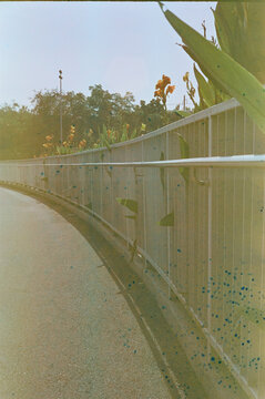 Different style expired film. Cross-processing. Shot in beautiful park
