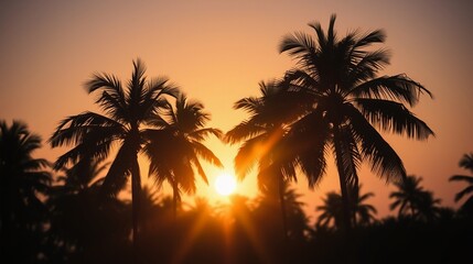 Obraz premium Tropical Sunset with Silhouetted Palm Trees against Golden Sky