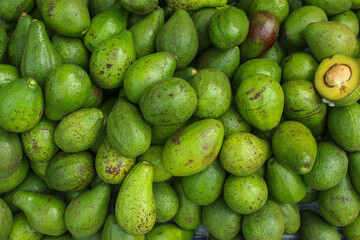 Fresh ripe avocado texture and background close-up. avocado on fruit market