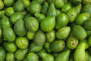 Fresh ripe avocado texture and background close-up. avocado on fruit market