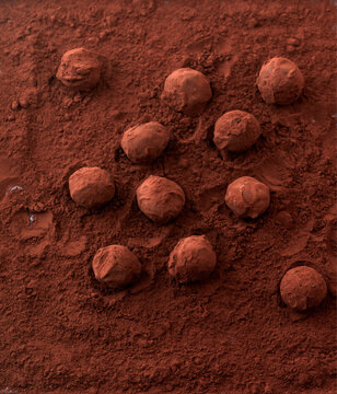 Chocolate truffles coated in cocoa powder