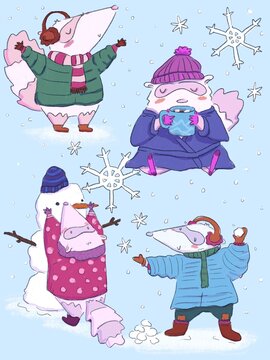 Raccoon Snowday