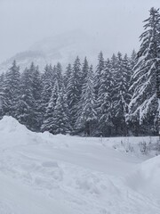 snow covered mountains