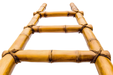 Bamboo Ladder Climbs High, Transparent Background