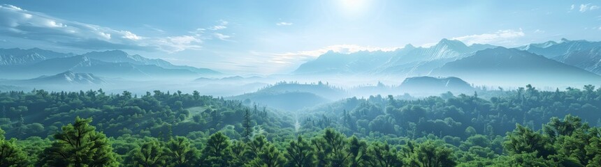 Fototapeta premium Amazing fog landscape in black forest panorama banner long