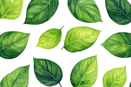 Vibrant Green Leaves, Transparent Background, Design Elements
