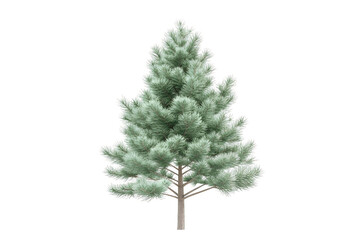 Create Evergreen Tree PNG,  Transparent Background