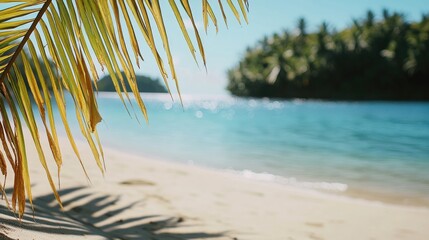 Naklejka premium Coastline scene with palm tree and calm waters