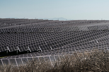 Solar energy field with eco-friendly infrastructure 