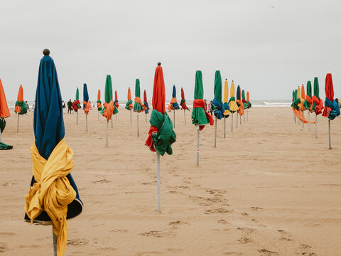 Colorful beach umbrellas lined up on a sandy shore
