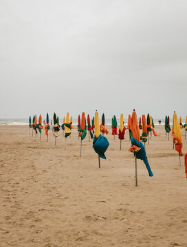 Colorful beach umbrellas lined up on a sandy shore