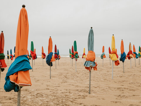 Colorful beach umbrellas lined up on a sandy shore