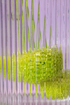 Green flower with delicate texture through glass effect.