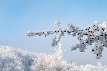 Winter landscape. Frost morning in mountains.