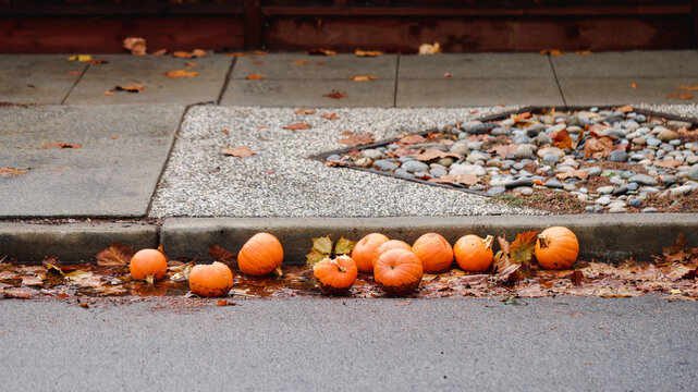 Pumpkins on the Curbside