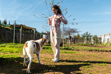 Volunteer playing with brown and white dog in shelter