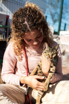 Volunteer caressing tabby cat 
