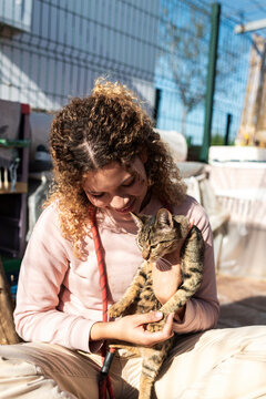 Volunteer caressing tabby cat in animal shelter