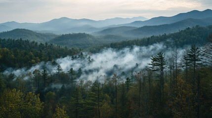 Fototapeta premium Misty mountain landscape with rolling hills and dense forest.