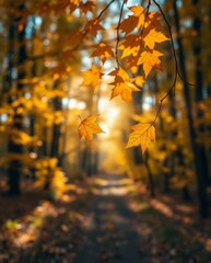 Golden Autumn Leaves Illuminated by Soft Sunlight in a Tranquil Forest Path