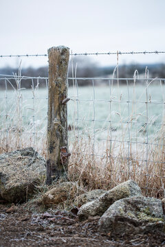 Rustic fence post in the frost