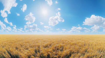 Obraz premium Sunny day over golden wheat field.
