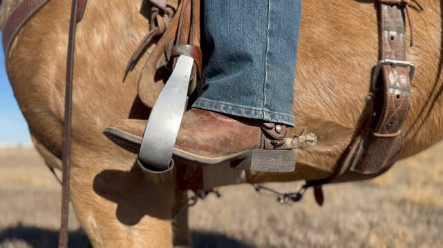 up close horse and rider
