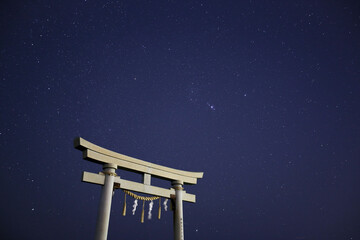 夜の鳥居