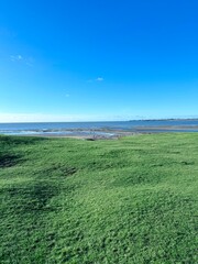 grass and blue sky