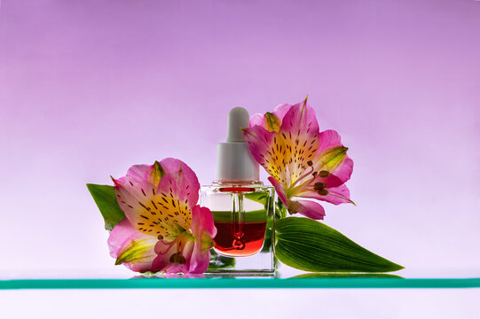 Vibrant red face serum oil and lush leaves in a minimal mockup.
