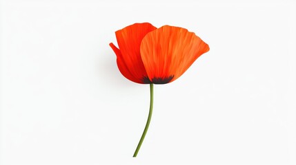 A vibrant red flower with delicate petals and a slender stem.