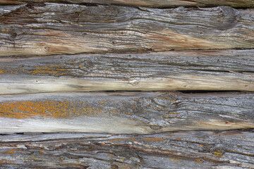 Rustic wall built of whole timber logs