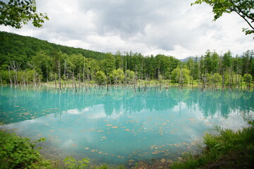 青い池