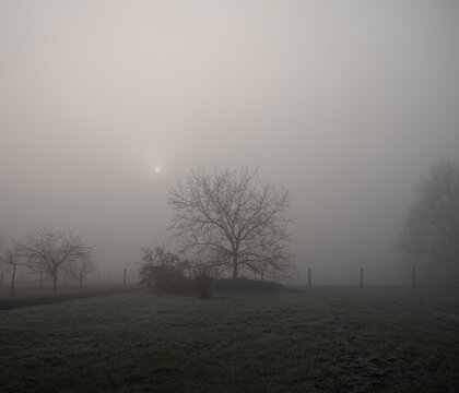 Foggy winter morning in sunrise