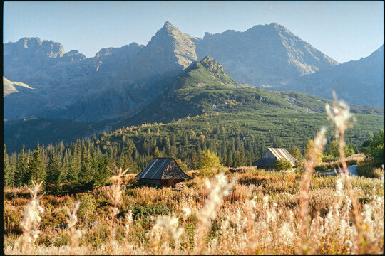 Mountain landscape in autumn