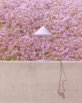 Purple Lamp