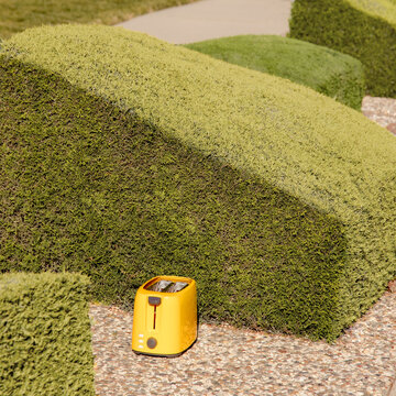 Toaster next to hedge