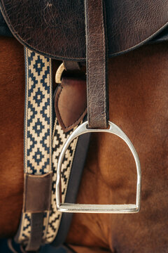Horse with Saddle Close Up